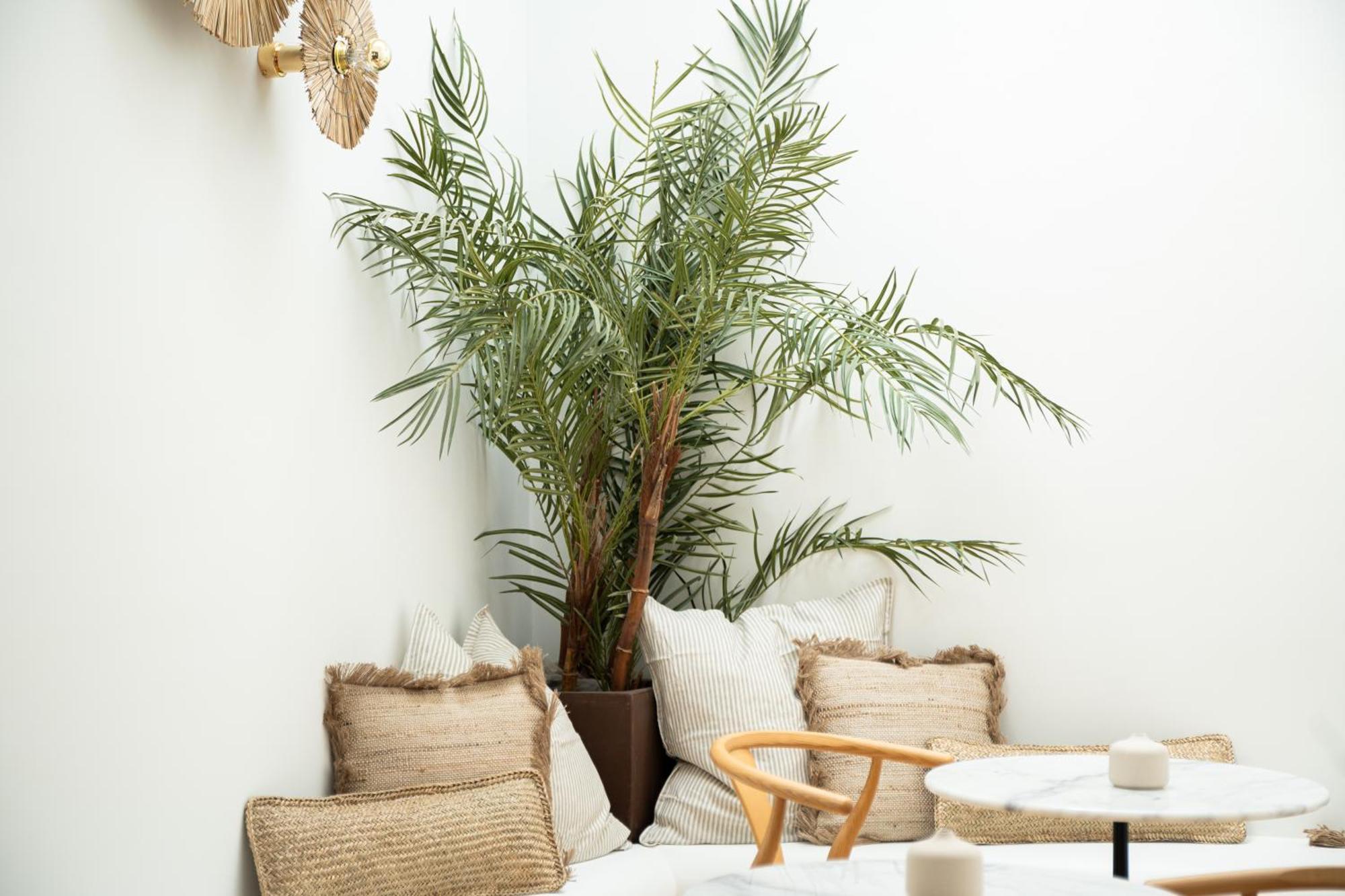 Rooms By Jova إل كامبيلو المظهر الخارجي الصورة